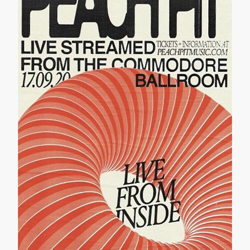 Pe.ac.h P.it Concert Premium Matte Vertical Poster, Best Gift For Home Decorations