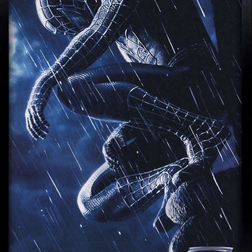 Spider Man 3 Movie Poster, Best Gift For Home Decorations
