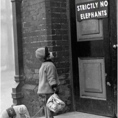 Strictly No Elephants Vintage Humorous Child Verses The World Black And White Photograph Poster