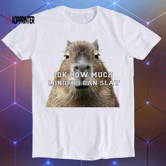 Idk How Much Longer I Can Slay Capybara Sarcastic Dank Meme Funny Gift T Shirt E945