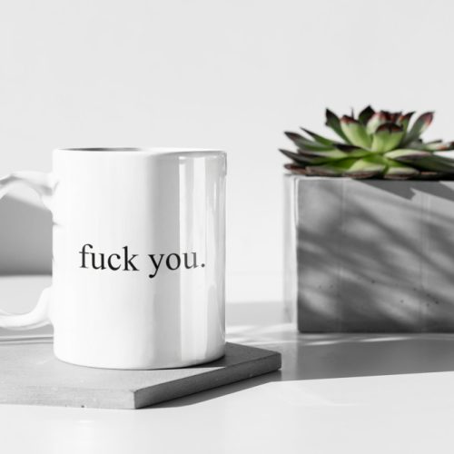 Fuck You. Funny Mug, Meme Gift, Gift For Him, Gift For Her, Joke Gift, 11 oz Ceramic Mug Gift