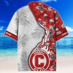 Cornell Big Red Hawaiian Shirt Gift Men Women Gift Men Women Custom