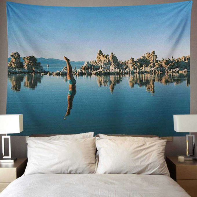 Mono Lake Wish You Were Here, Diver, Album Inner Sleeve Pink Floyd Tapestry