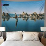 Mono Lake Wish You Were Here, Diver, Album Inner Sleeve Pink Floyd Tapestry