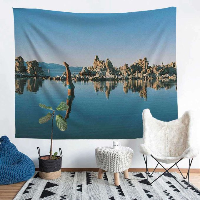 Mono Lake Wish You Were Here, Diver, Album Inner Sleeve Pink Floyd Tapestry