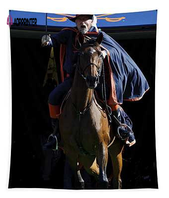 Virginia Cavaliers Cavman and Sabre Jason O Watson Tapestry: Official College Team Décor