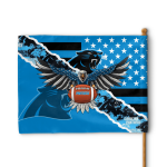 Carolina Panthers American Landscape House Flag