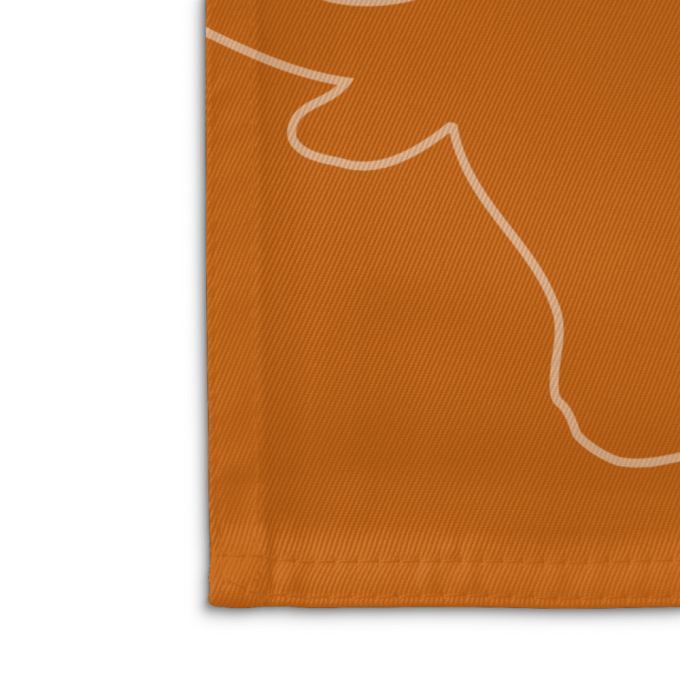 Texas Longhorns American Landscape House Flag